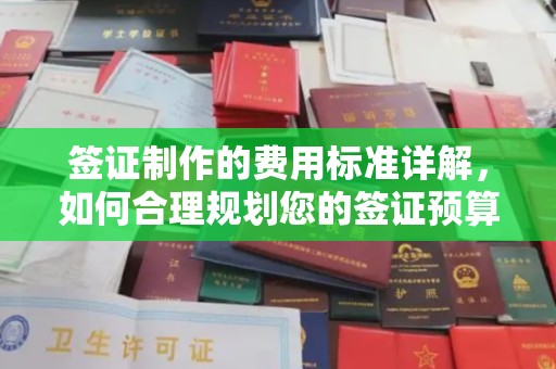 磁县签证制作的费用标准详解，如何合理规划您的签证预算
